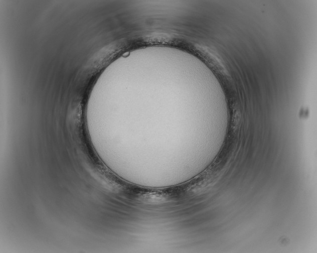 X0000090730498200708171950