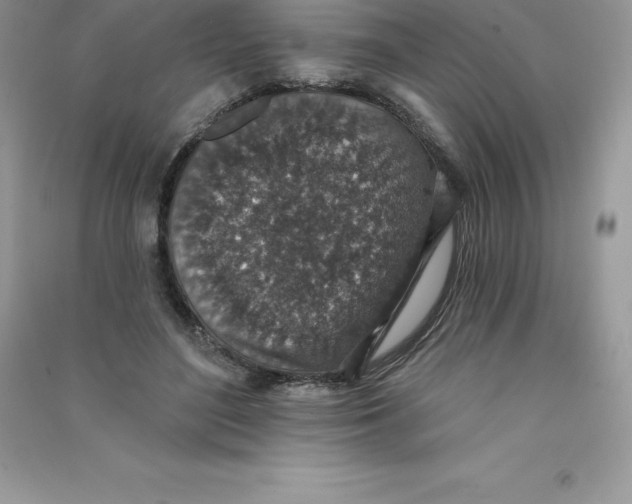 X0000090730500200708171950