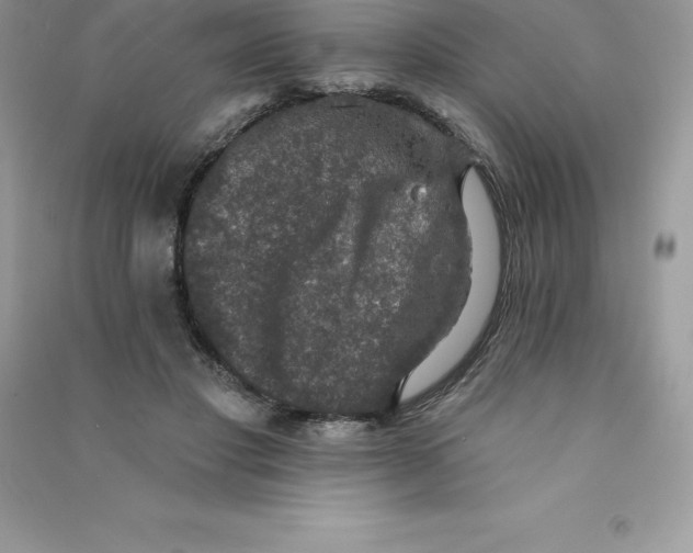 X0000090730501200708171950