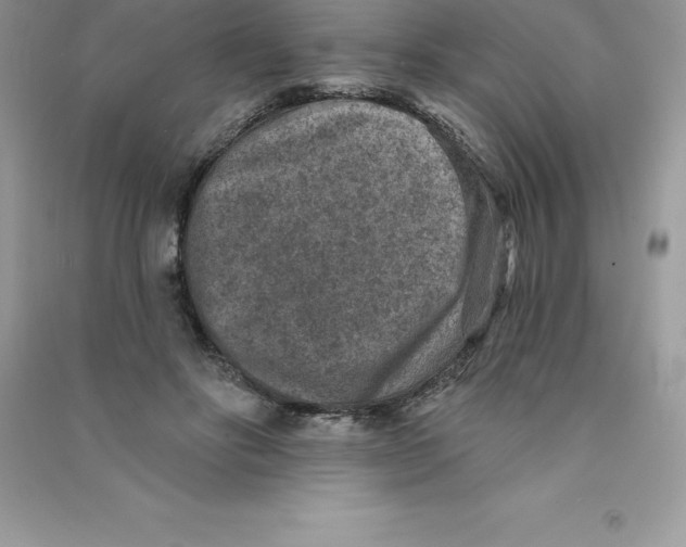 X0000090730502200708171950