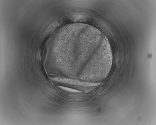 X0000090730506200708171950