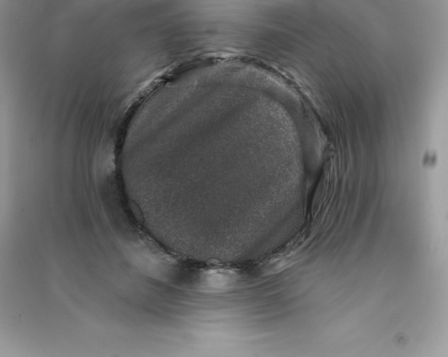 X0000090730508200708171950