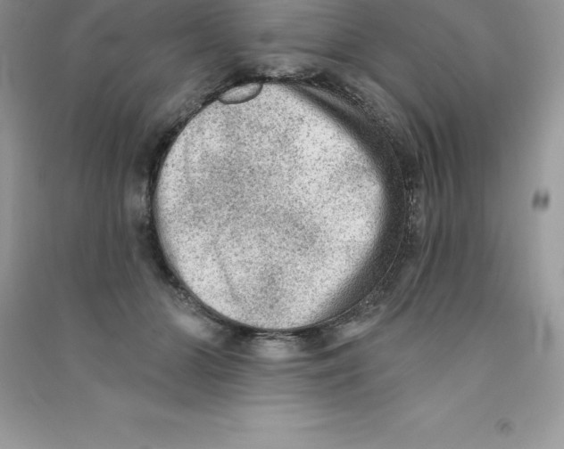 X0000090730510200708171950