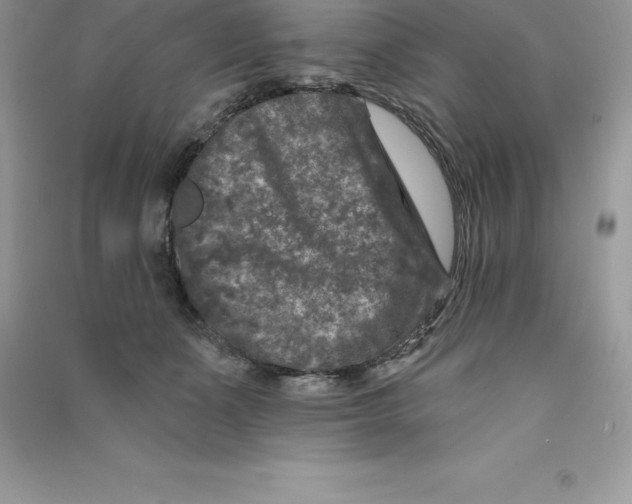 X0000090730511200708171950