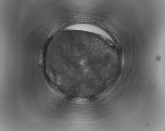 X0000090730512200708171950