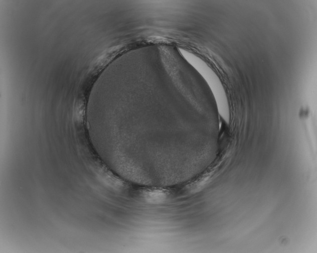 X0000090730513200708171950