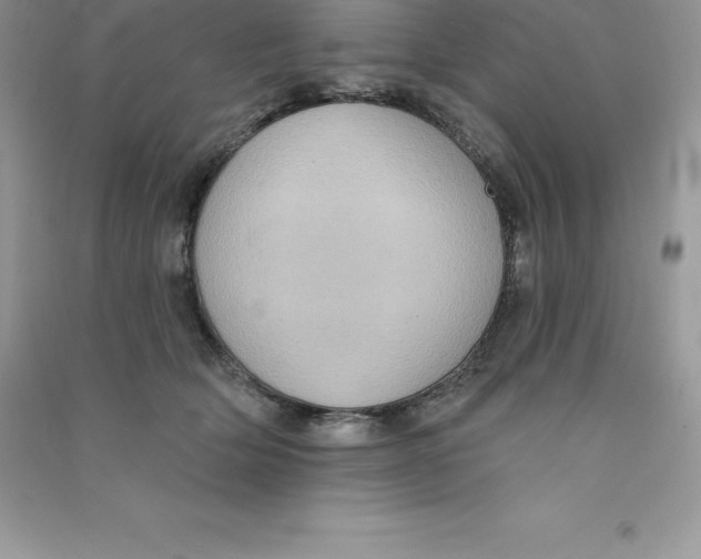 X0000090730514200708171950