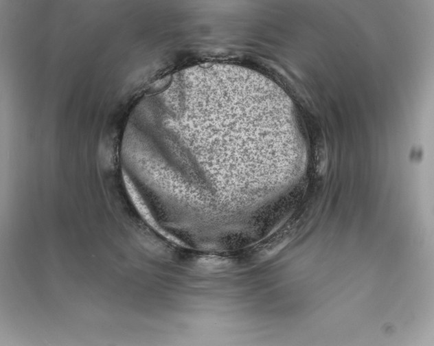 X0000090730515200708171950