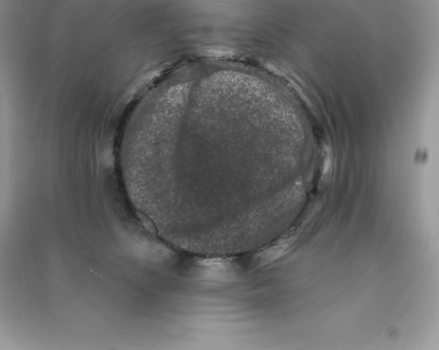 X0000090730516200708171950