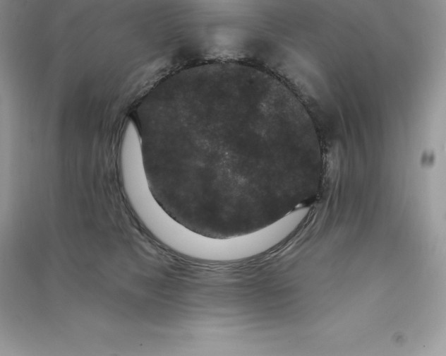 X0000090730517200708171950