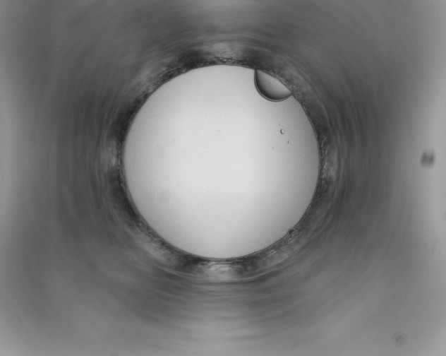 X0000090730518200708171950