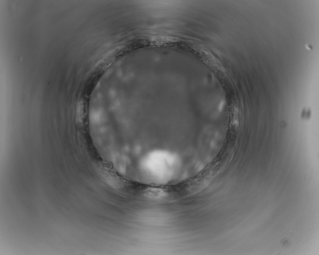 X0000090730519200708171950