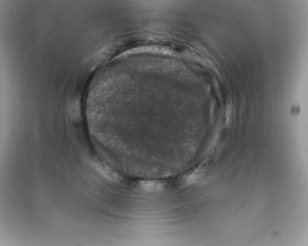 X0000090730520200708171950