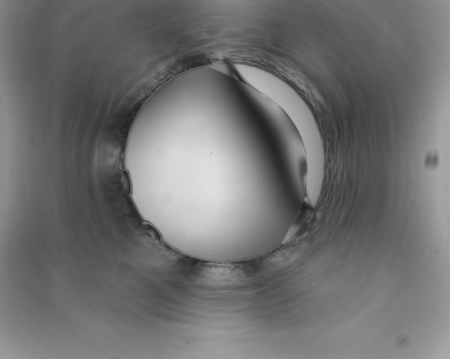 X0000090730521200708171950