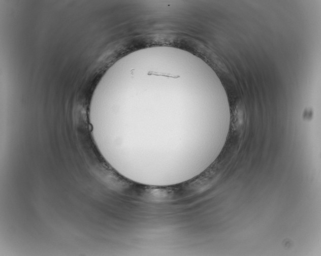 X0000090730522200708171950