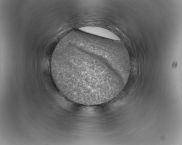 X0000090730523200708171950