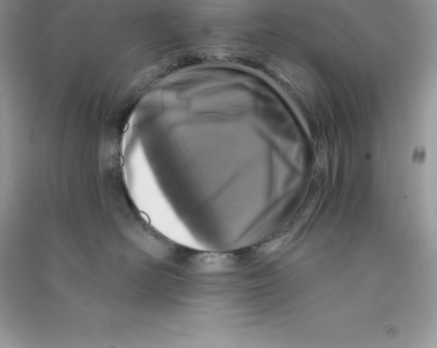 X0000090730526200708171950