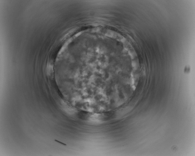 X0000090730527200708171950