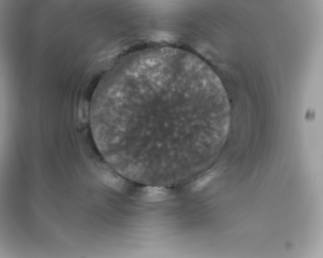 X0000090730528200708171950