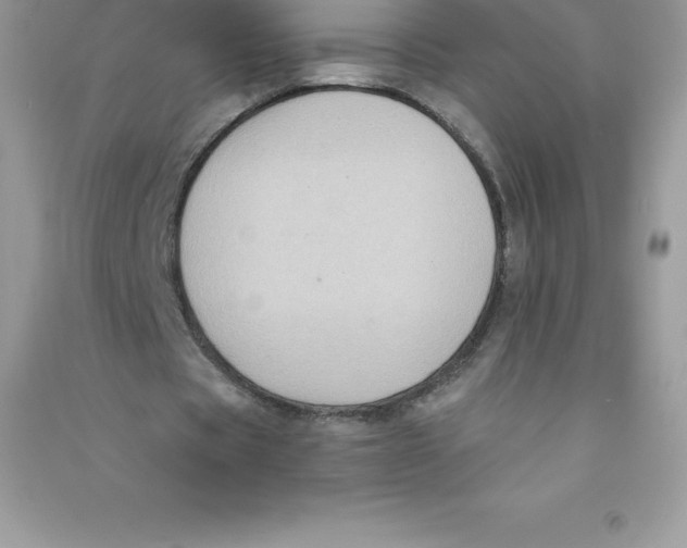 X0000090730529200708171949