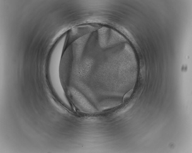 X0000090730530200708171949