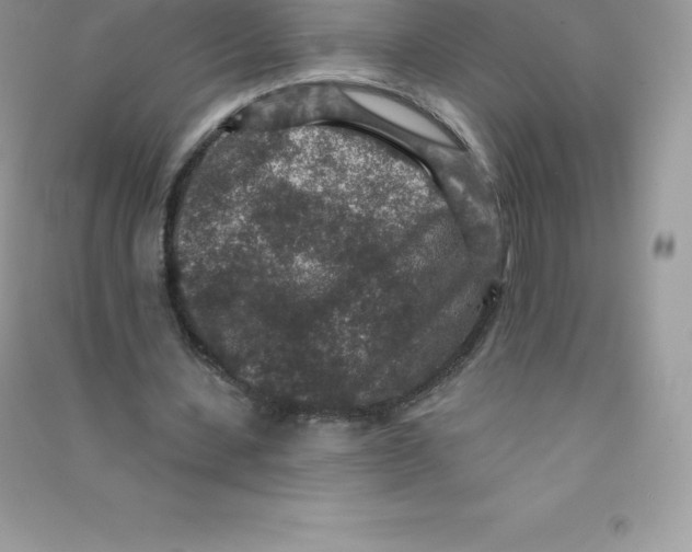 X0000090730531200708171949