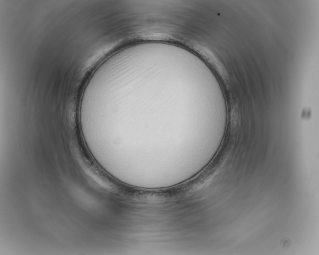 X0000090730533200708171949