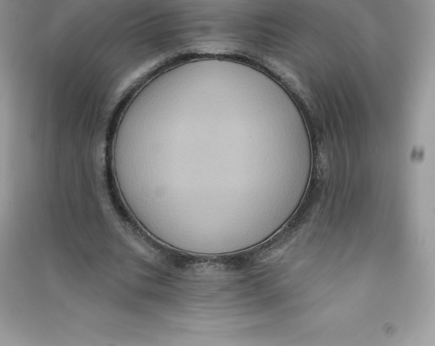 X0000090730535200708171949