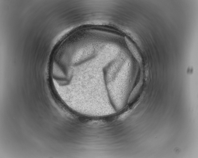 X0000090730536200708171949