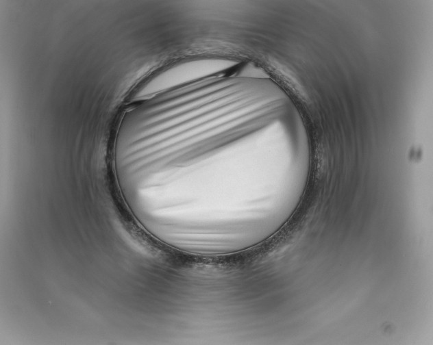 X0000090730538200708171949