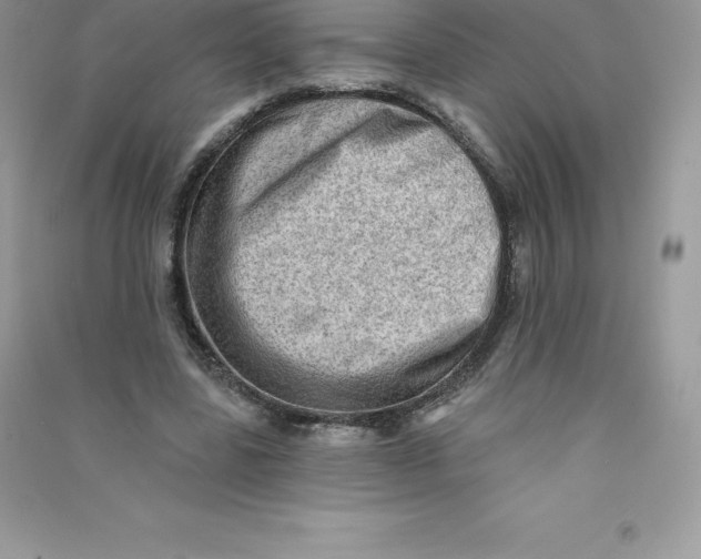 X0000090730539200708171949