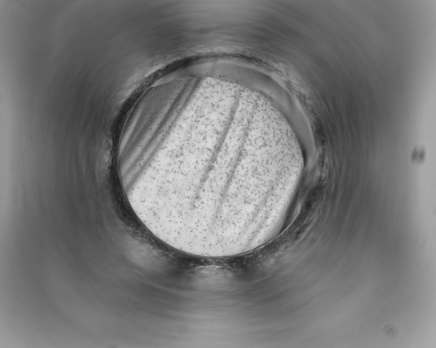 X0000090730544200708171949