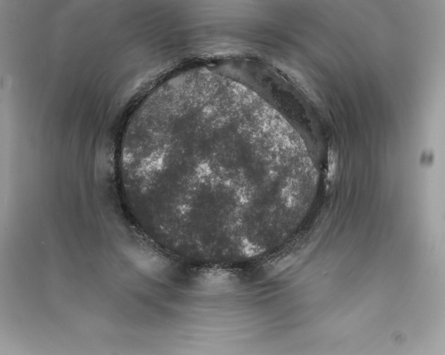 X0000090730547200708171949