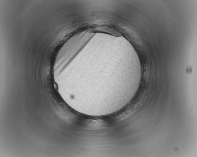 X0000090730548200708171949