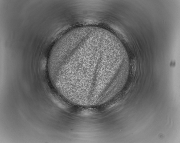 X0000090730550200708171949