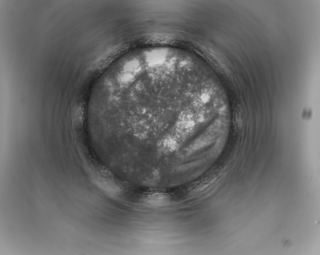 X0000090730551200708171949