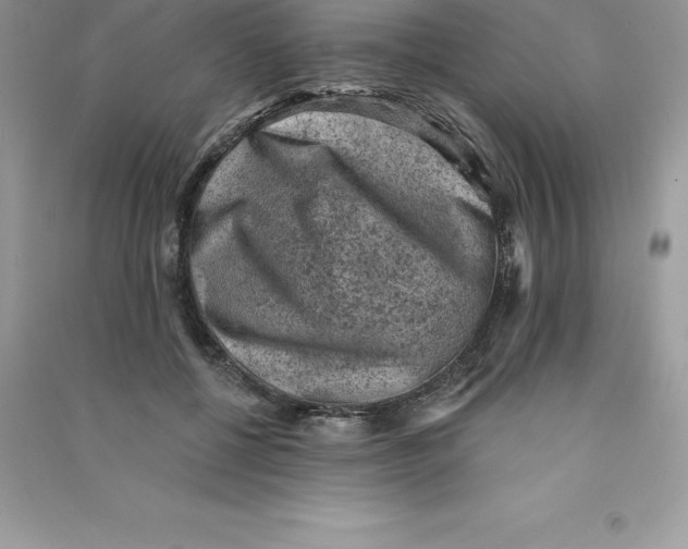 X0000090730552200708171949