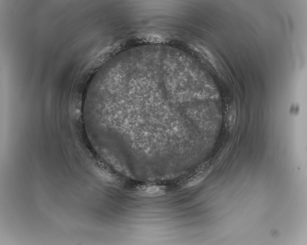 X0000090730553200708171949