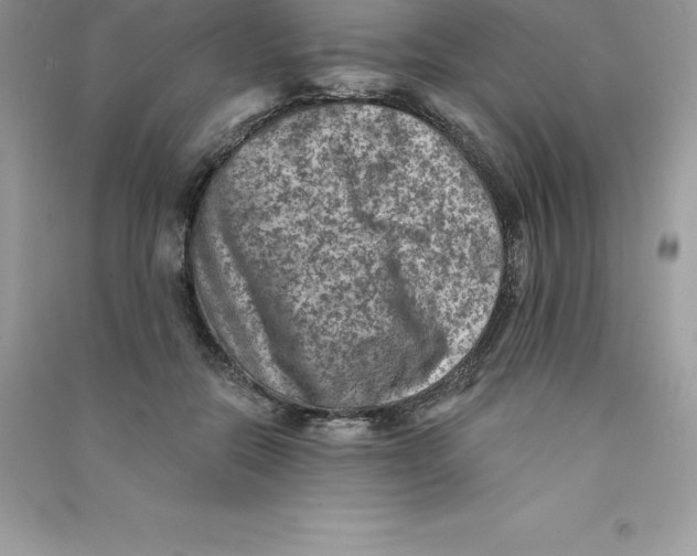 X0000090730554200708171949