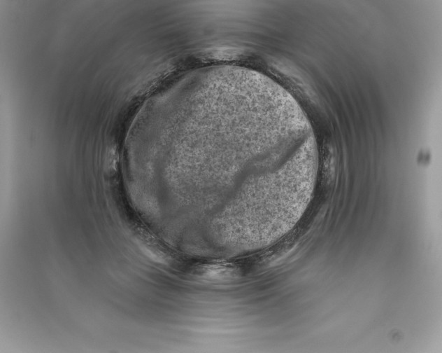 X0000090730555200708171949