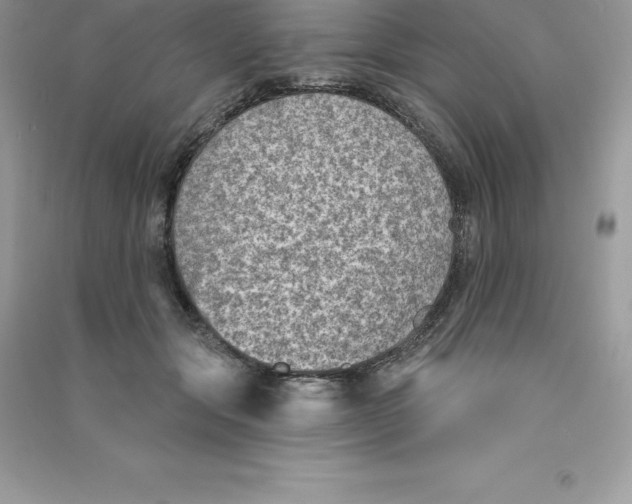 X0000090730557200708171949