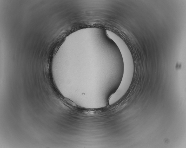 X0000090730558200708171949