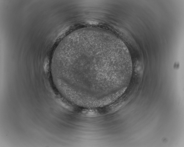 X0000090730559200708171949