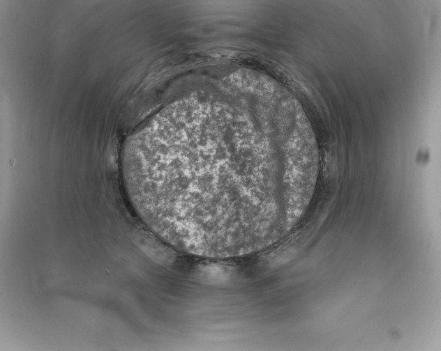 X0000090730561200708171949