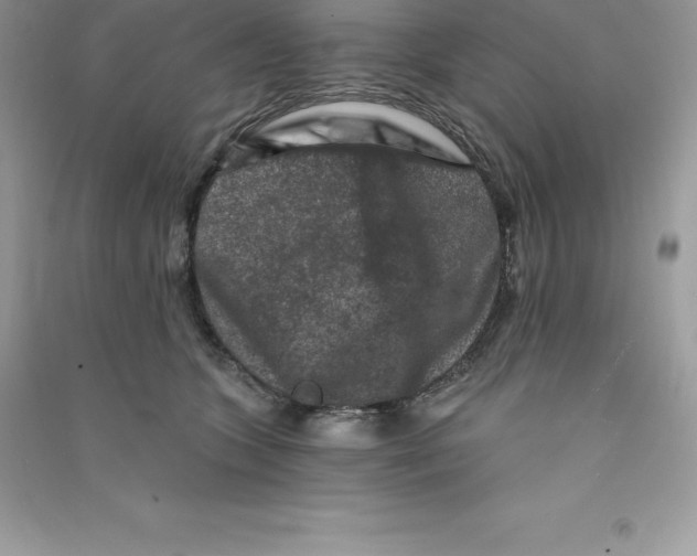 X0000090730563200708171949