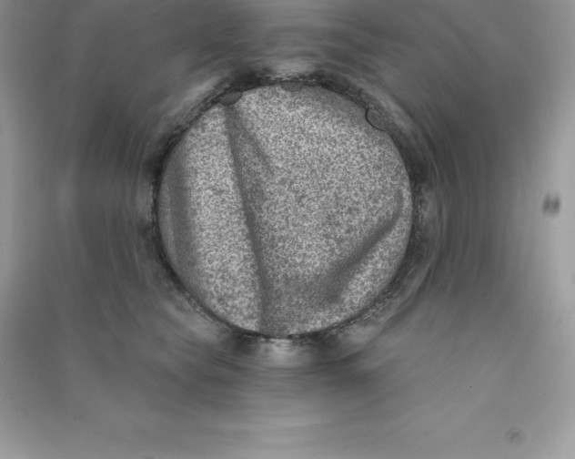 X0000090730565200708171950