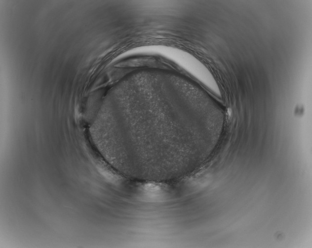 X0000090730566200708171950