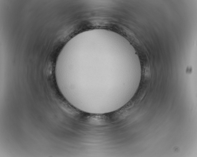 X0000090730567200708171950