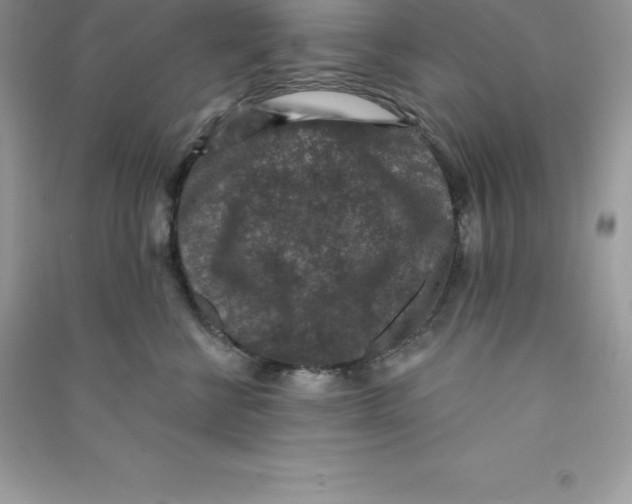 X0000090730570200708171950