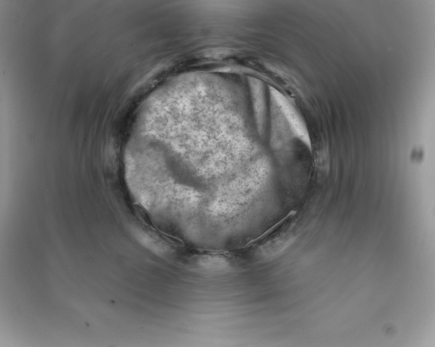 X0000090730572200708171950